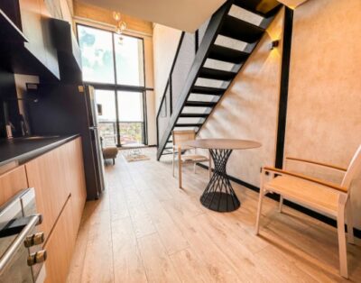 Nice Duplex Apartment Near Virrey Park